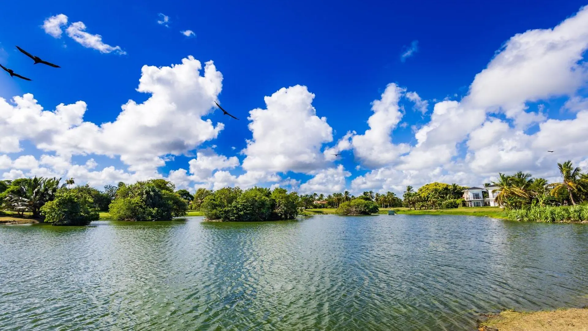 Oasis Cocotal - Family 4Br Apartment In Punta Cana